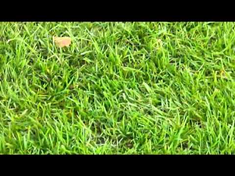 JVZ C1 - Vroomshoopse Boys C1 oefenwedstrijd 26 november 2011