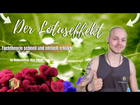Der Lotuseffekt | Fachtheorie schnell und einfach erklärt | by Malermeister Max Thiede