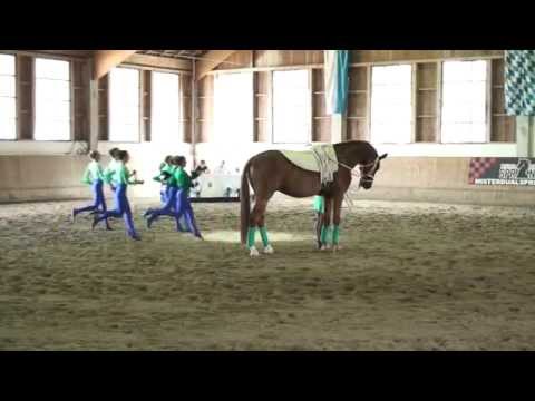 Bayerische Meisterschaften 2015 - Franken-Junior I