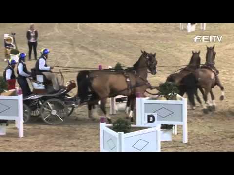 FEI World Cup Driving 2012/13 Hannover - Tomas Eriksson (3rd)