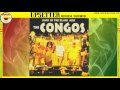 GARDEN OF LIFE ⬥The Congos featuring Lee Perry⬥