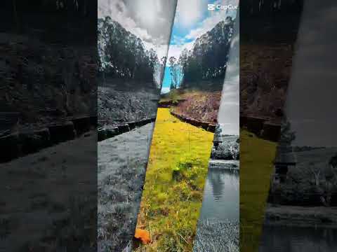 🌿 CHÁCARA À VENDA – MARMELEIRO/PR🏡