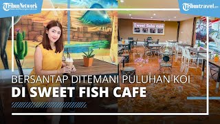 Sweet Fish Cafe Tempat Asyik buat Rayakan Tahun Baru Imlek, Bersantap Ditemani Puluhan Koi Cantik