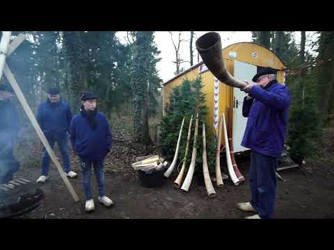 Midwinterhoorn blazen in Denekamp. December 2019