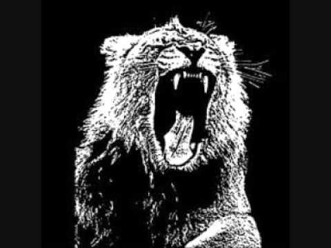 Martin Garrix Vs. Ftampa - Animals Kick It Hard (Pepy's MashUp)