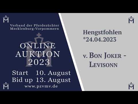 Nr. 27 v. Bon Joker/Levisonn