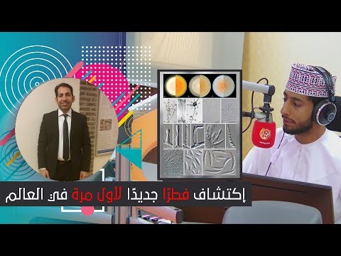 د.عبدالله الحاتمي وفريقة البحثي يكتشفون فطرًا جديدًا لأول مرة في العالم.. على الشبيبة FM