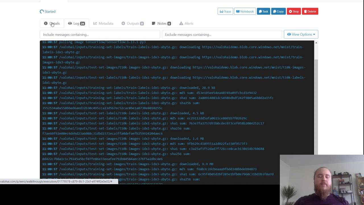 Valohai MLOps Platform Walkthrough