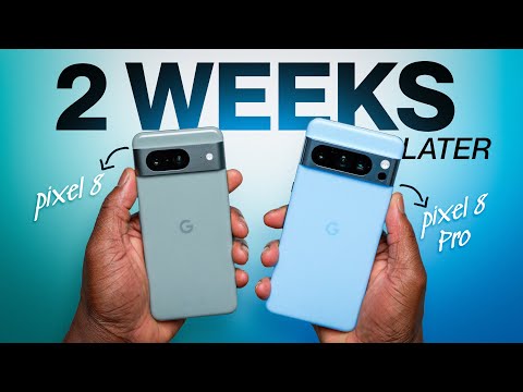 Pixel 8 Pro & Pixel 8 ALMOST 2 Weeks Later Review