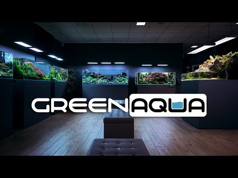 BEAUTIFUL PLANTED TANKS THE GREEN AQUA SHOWROOM - 2020 CINEMATIC EDITION