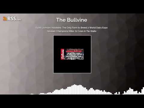 E406 Lovholm Holsteins: The Only Farm to Breed 2 World Dairy Expo Holstein Champions Milks...