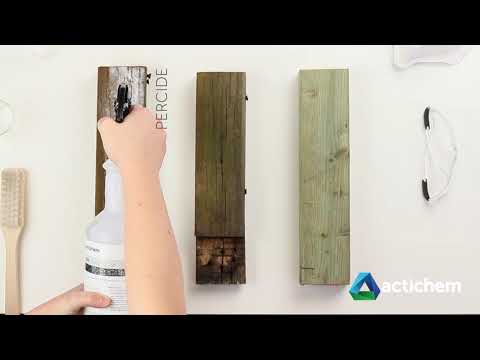 How to use Actichem's Percide for effective mold removal