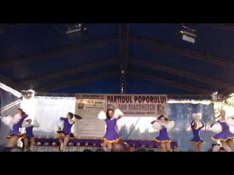 dan diaconescu la voivozi (2).mp4