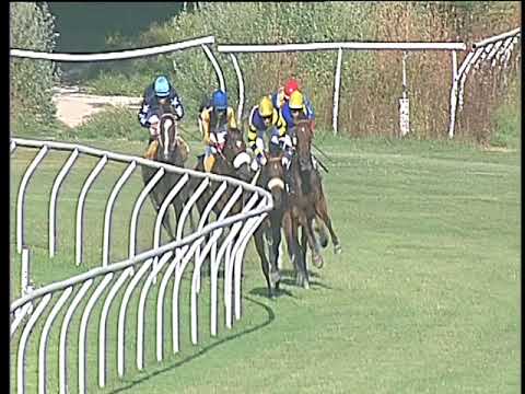 Galoppo 23/08/2017 - 1ª corsa