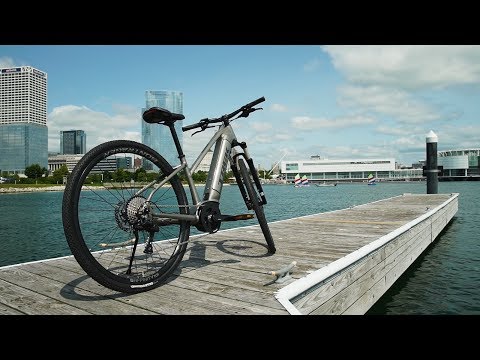 TREK Dual Sport + Women's