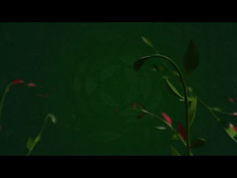 MIX WITH ORIJIN: THE ORIJIN GOLD |BASKETMOUTH| LARA RAWA