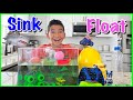 Science Video For Kids Sink Or Float DIY Experiments For Learning