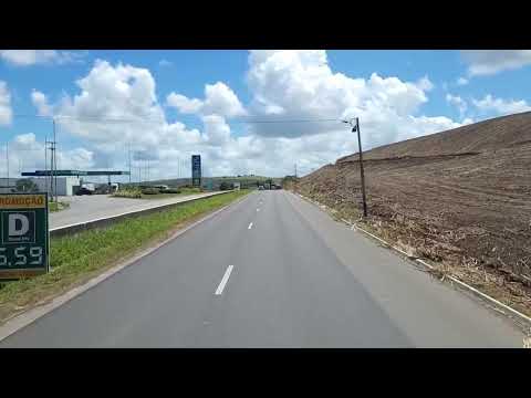 (EP1374) RIBEIRÃO PALMARES E XEXEU PERNAMBUCO BR101 