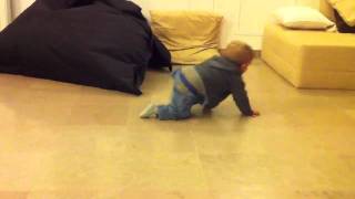 Zéphir et Isabelle la coccinelle