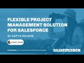 Flexible Project Management Solution For Salesforce In Depth Review