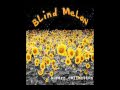 Blind Melon Seed To A Tree (Live) - TheblindmellonTV Blind Melon Seed To A Tree (Live)