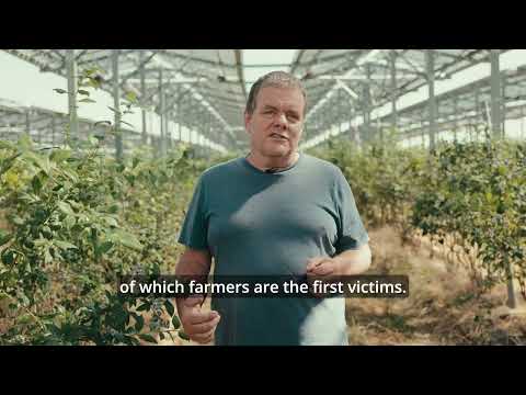 Olivier Pichonnat, Blueberry grower, Switzerland