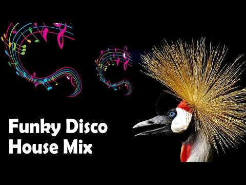 Funky Disco House Mix " FederFunk Best Original Mix's" by Sammer Asby