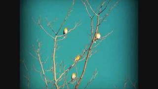 Golden Bird by Levon Helm