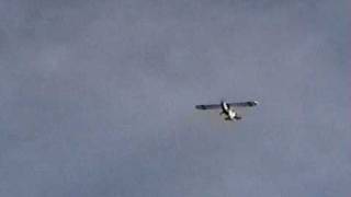 preview picture of video 'Dynam PA-18 Super Cub'