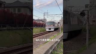 西武10000系最終編成 かっこいいよなぁ、、、