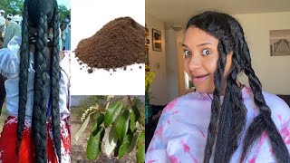 የቻድ ሴቶሽ ፀጉር ሸቤ ( Chebe powder) መልስ