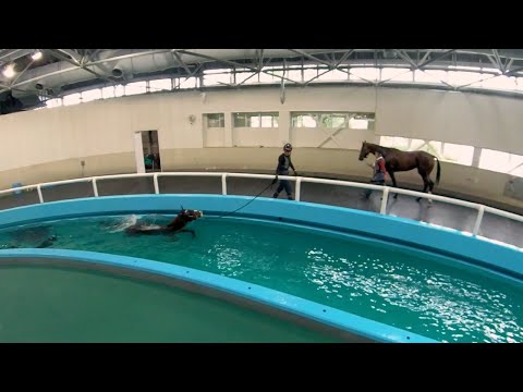 aménagement-piscine-jardin-semi-encastrée-panier-bascket
