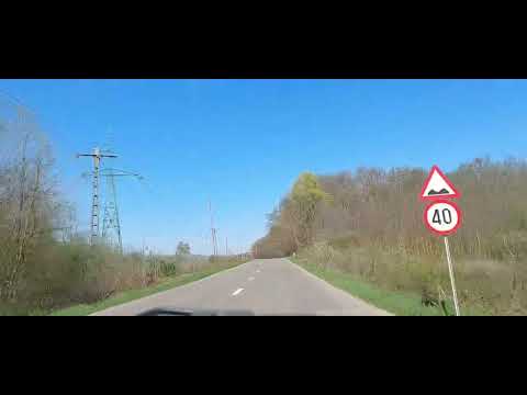 Traseu padure Brodoc Balteni 04 2024 Romania