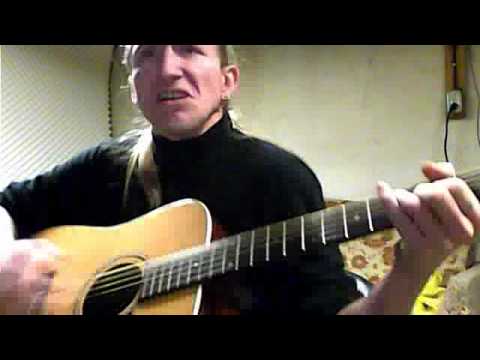 Fallen Star cover