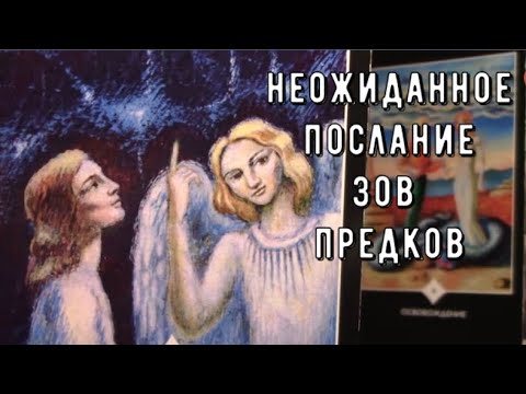 🙏🏻❗Род Матери и Отца хочет передать Вам 🕊️ Главный Итог ☄️ Таро знаки Судьбы #tarot#love#news