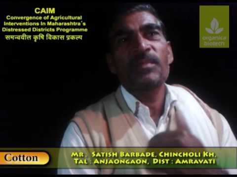 Powder bio organic fungicide magicgro bacillus subtilis, 1 k...