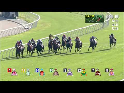 28/11/2021 (210) Sight Spirit - J Moreira