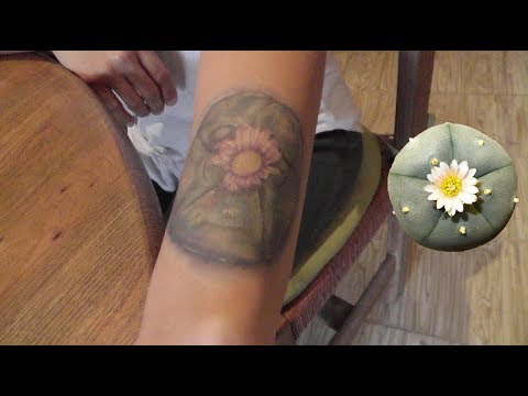 Road to Peyote In Mexico Part 1/6