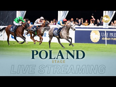 UAE President's Cup -  Poland