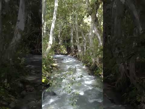así es el caudaloso río de santa María teopoxco Oaxaca.