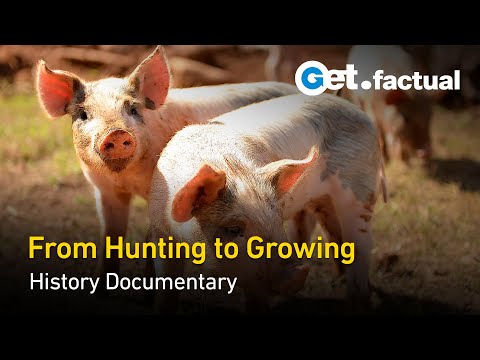 Animals that Changed History - Food | Full Documentary