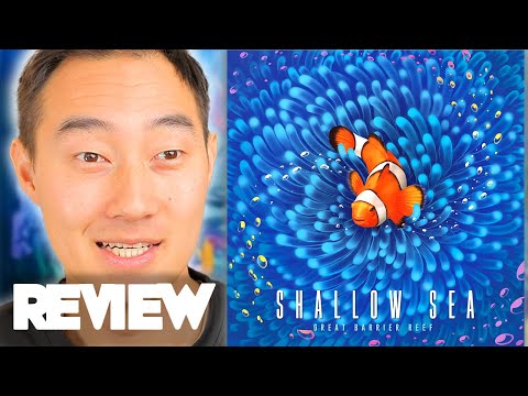Shallow Sea Review — Immaculate Tile Laying