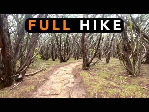 Shinnery Ridge Trail Video Thumbnail