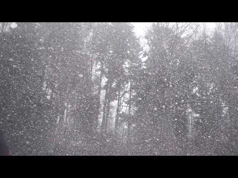 Dominus illuminatio (Psalm 27 SATB)