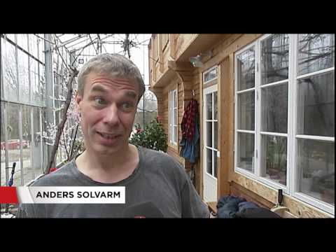 Familjen Solvarm bor i växthus - Nyheterna (TV4)