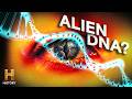The Extraterrestrial Genetic Theory Ancient Aliens