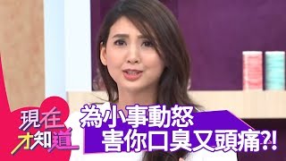 為小事動怒，害你口臭又頭痛？！【現在才知道】20150922 Part3 韋汝 邵庭