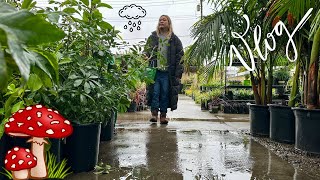 The Quest for Plant Inspiration During the Storm of the Century