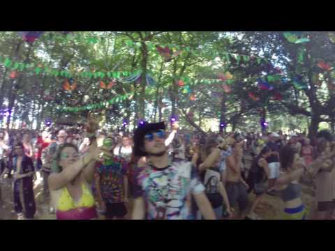 Boomtown 2016 Clip Forest 1