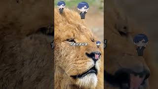 - 動物さんの鳴き声でケンチャナ!【歌ってみた】【いれいす】#shorts